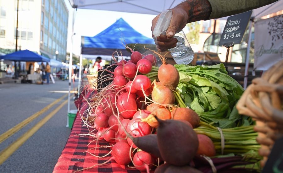 The Downtown Elgin Farmers Market will offer more produce growers at the market this season.