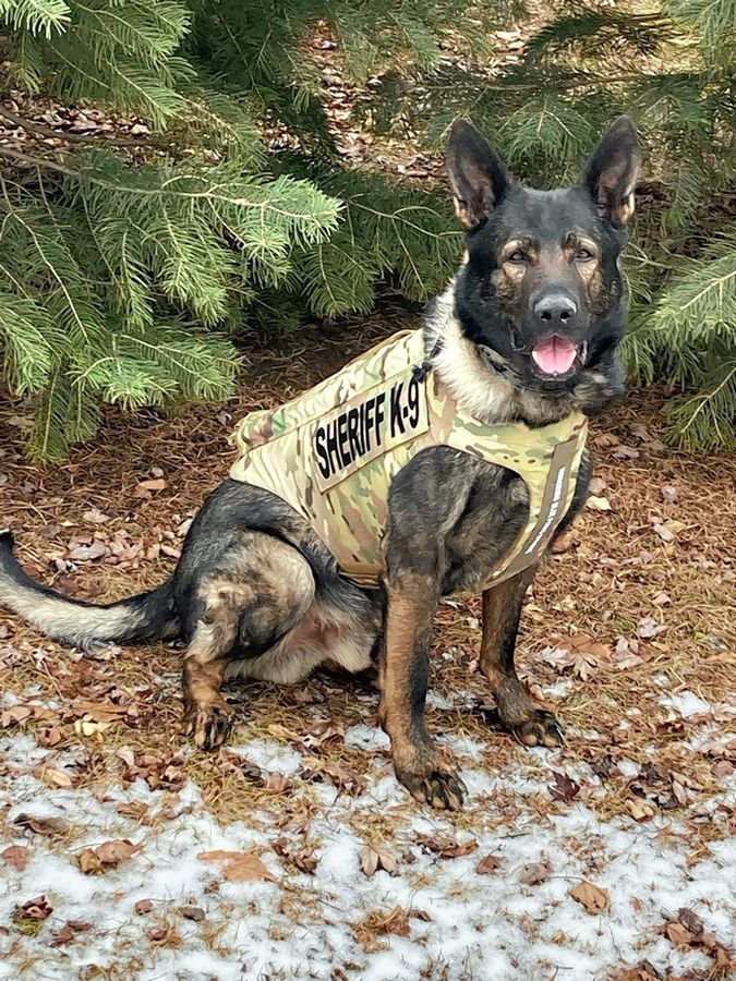 Canine officer Dax, the Lake County sheriff's police dog, sniffed out nine juveniles after reports of two stolen vehicles within 24 hours.